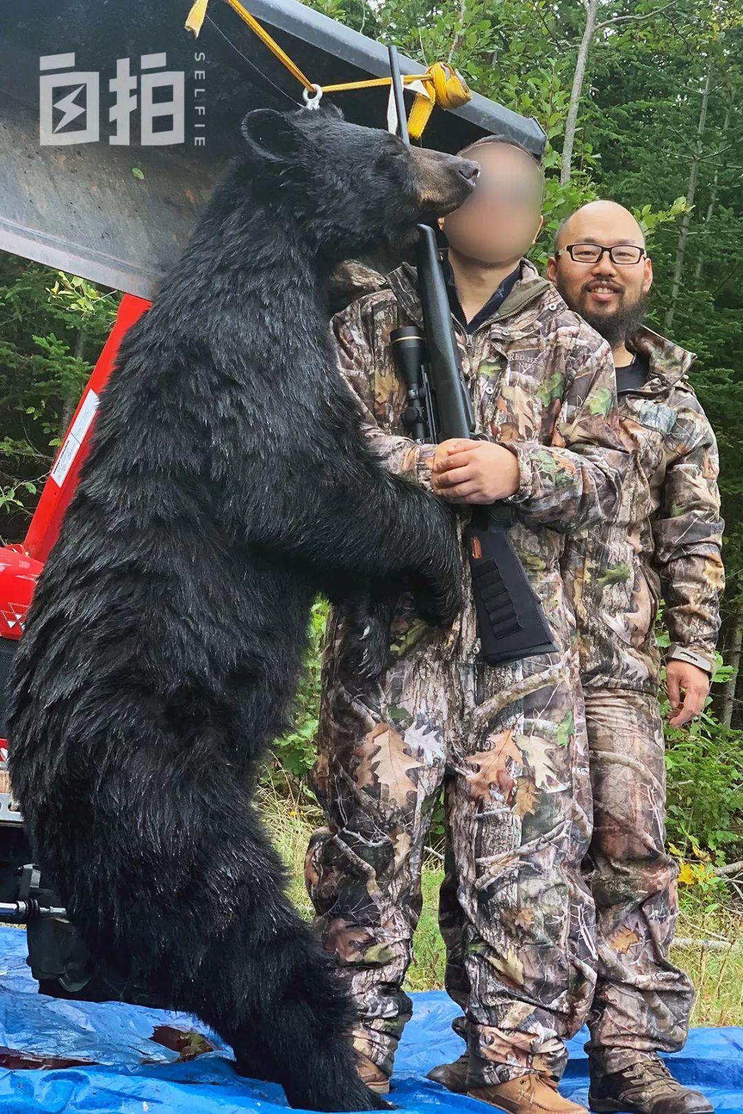 移民加拿大后，我去偏僻省当了职业猎人，每年得杀50头熊