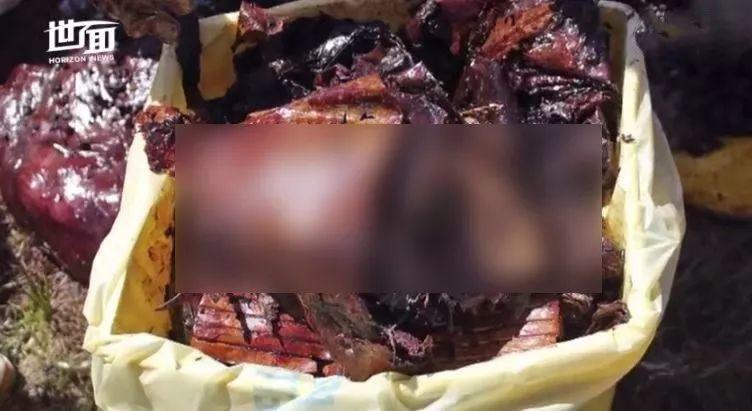 怀孕母亲被44斤垃圾杀死：这是人类拍过最羞愧的照片