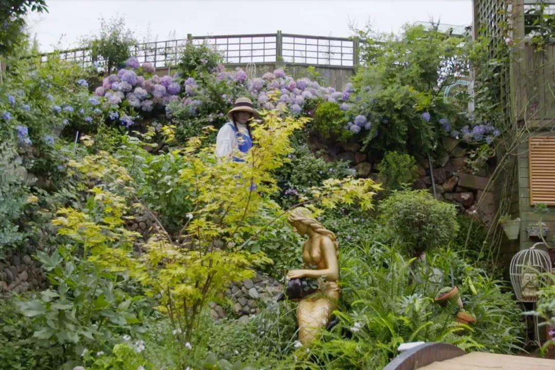 她40岁独自在荒山造1500㎡花园：前半生给家庭，后半生给自己