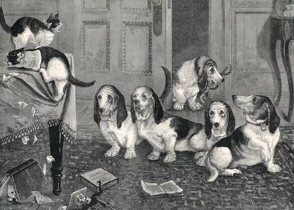 维多利亚时代的猫痴艺术家
