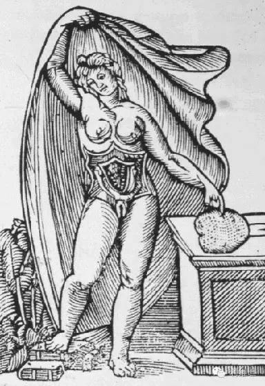 中世纪假装处女指南