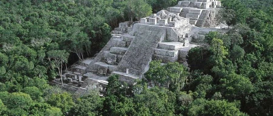 古代文明何以在森林中建造城市？